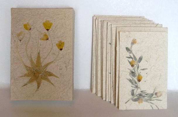 Boite PM + 9 cartes simples + 9 enveloppes - Fleurs jaune