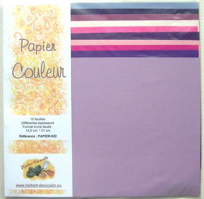 Papier Couleur - 6 tons au choix ROSE VIOLET