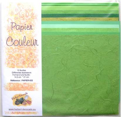 Papier Couleur - 6 tons au choix VERT