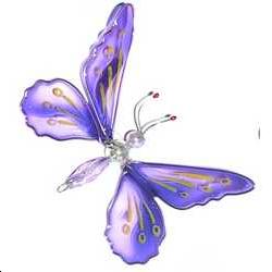 Papillon VIOLET